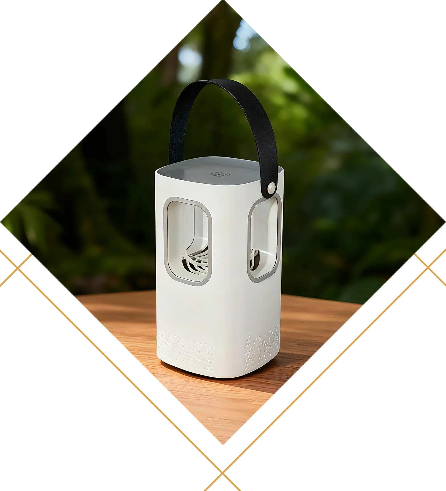 Ucigaș de țânțari